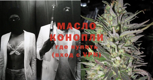 гидра Каменногорск