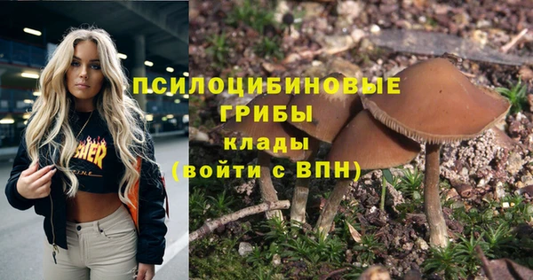 jwh Алзамай